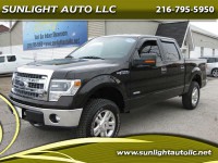 Image for 2014 Ford F-150 XLT SuperCrew 5.5-ft. Bed ID: 100042
