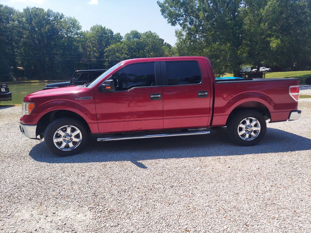 2013 Ford F-150 Image 2