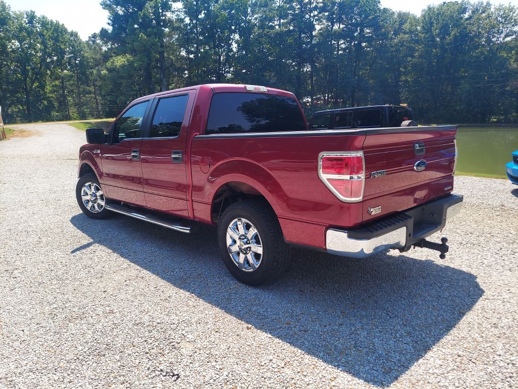 2013 Ford F-150 Image 3