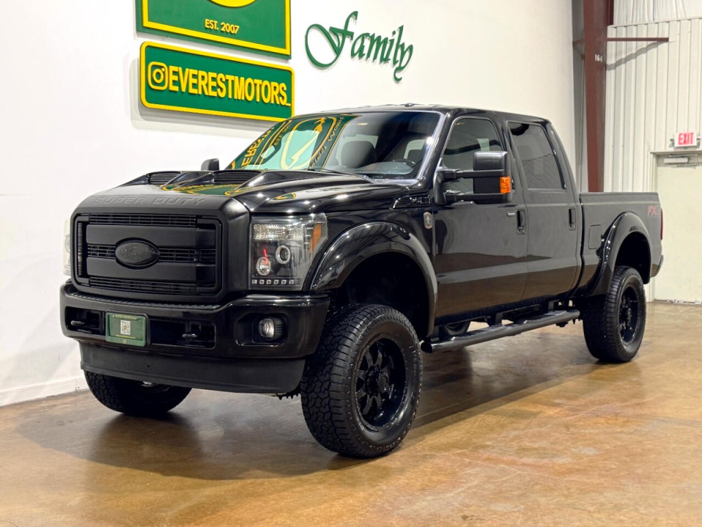 2015 Ford F-250 Image 3