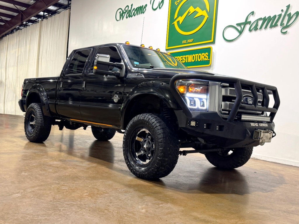 2015 Ford F-250 Image 2