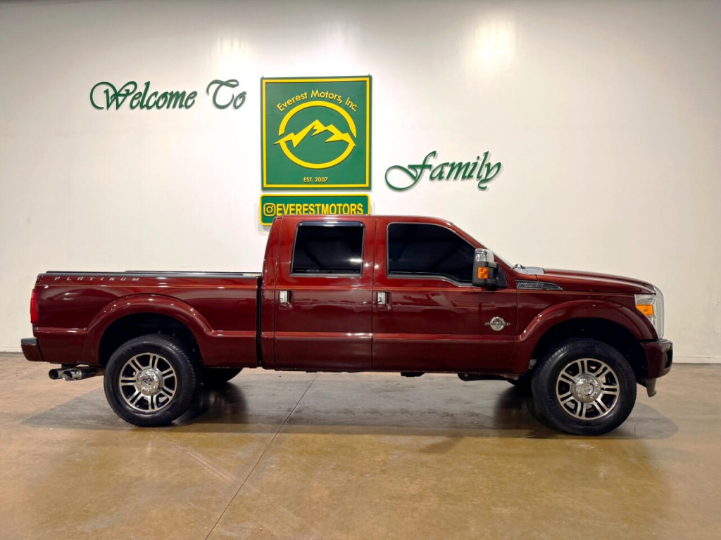 2015 Ford F-250 Image 2