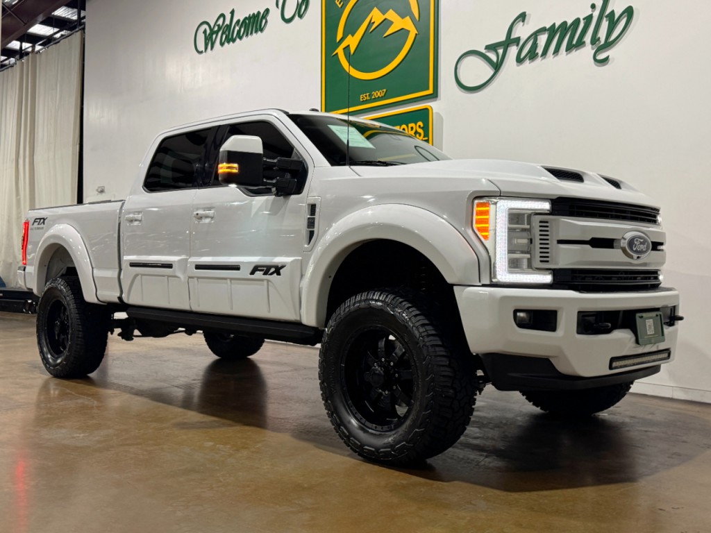 2017 Ford F-250 Image 2