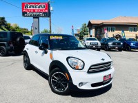 Image for 2016 MINI Countryman Cooper ID: 6270335
