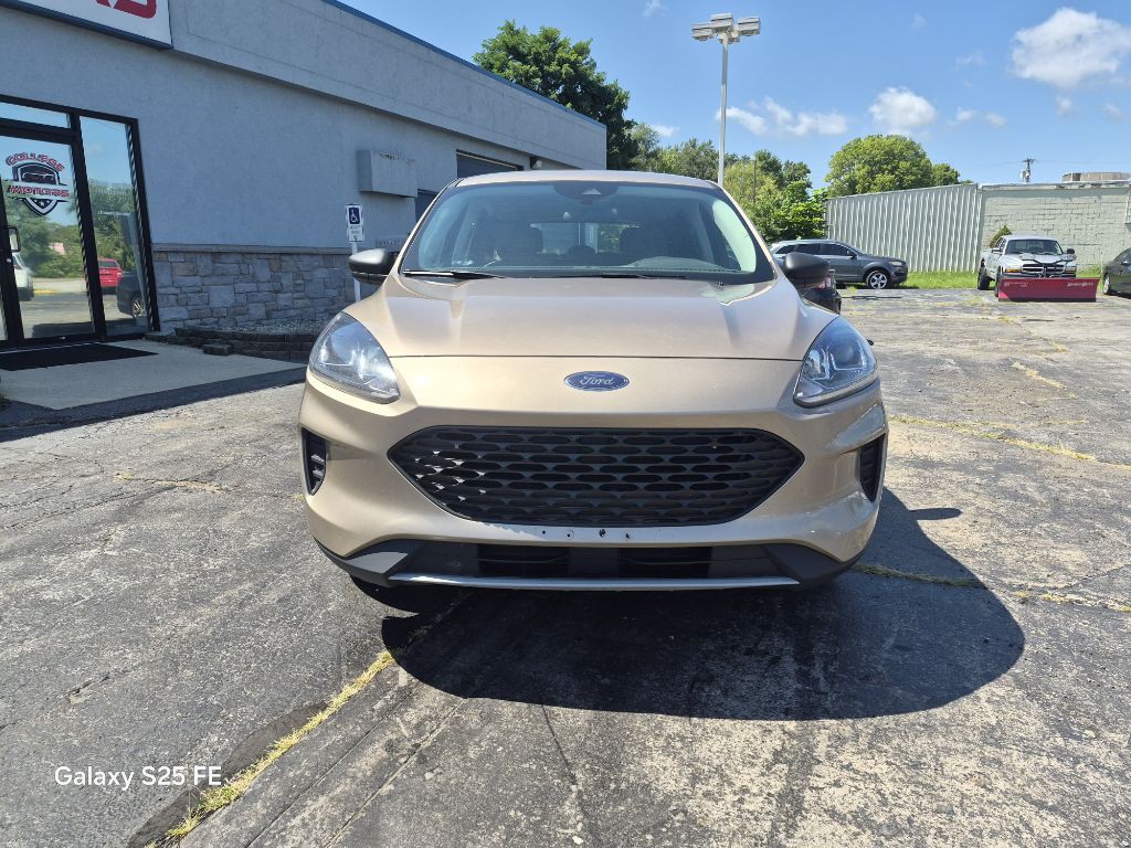 2021 Ford Escape Image 8