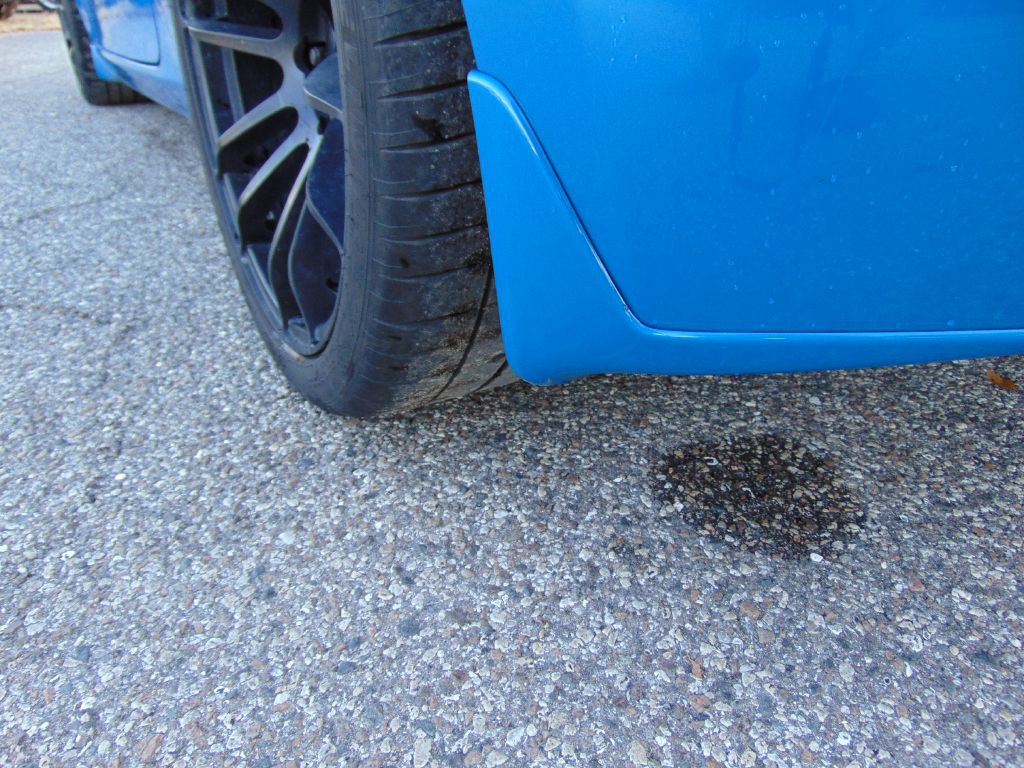 2010 Nissan 370Z Image 13