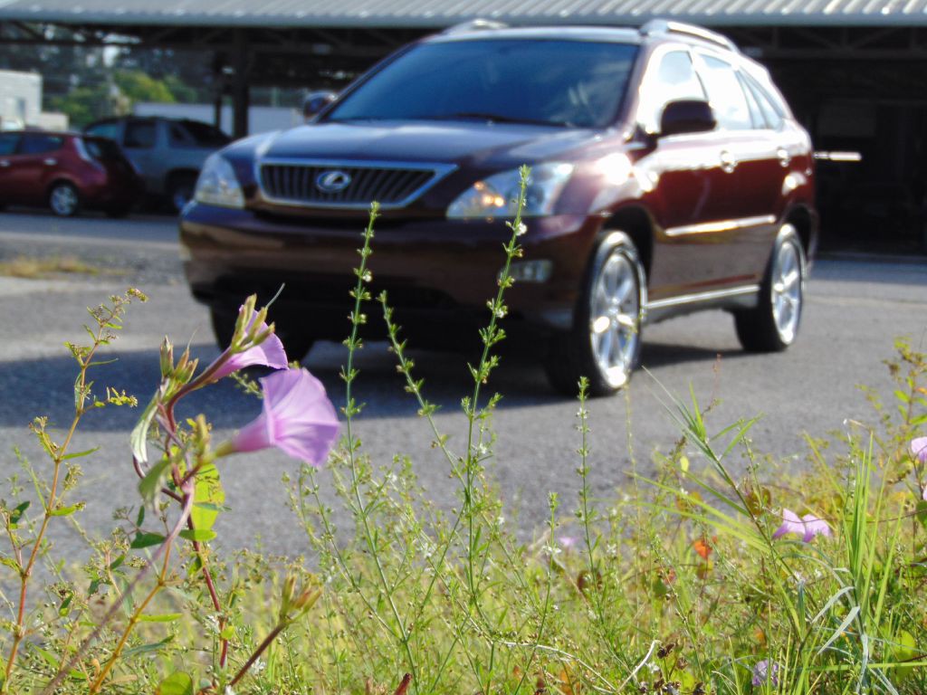 2009 Lexus RX Image 10