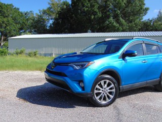 Image for 2018 Toyota Rav4 Limited ID: 7600675