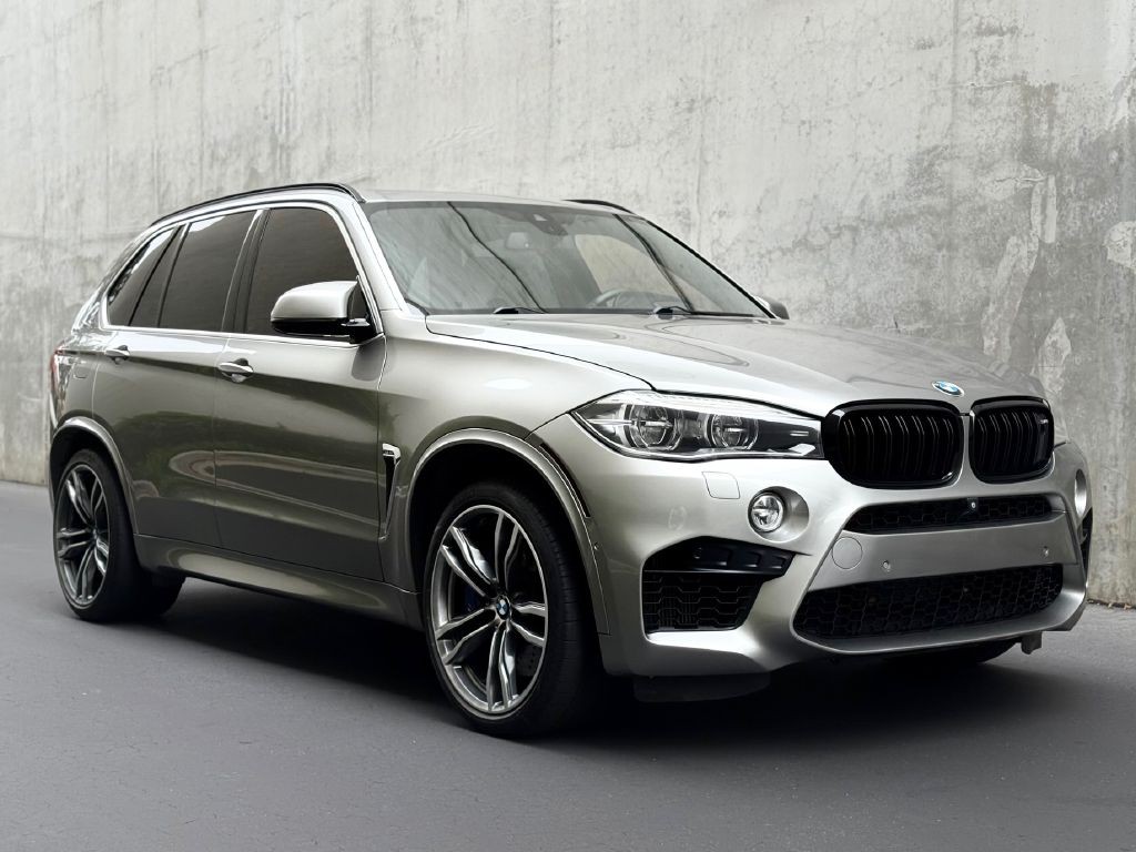 2015 BMW X5 Image 17