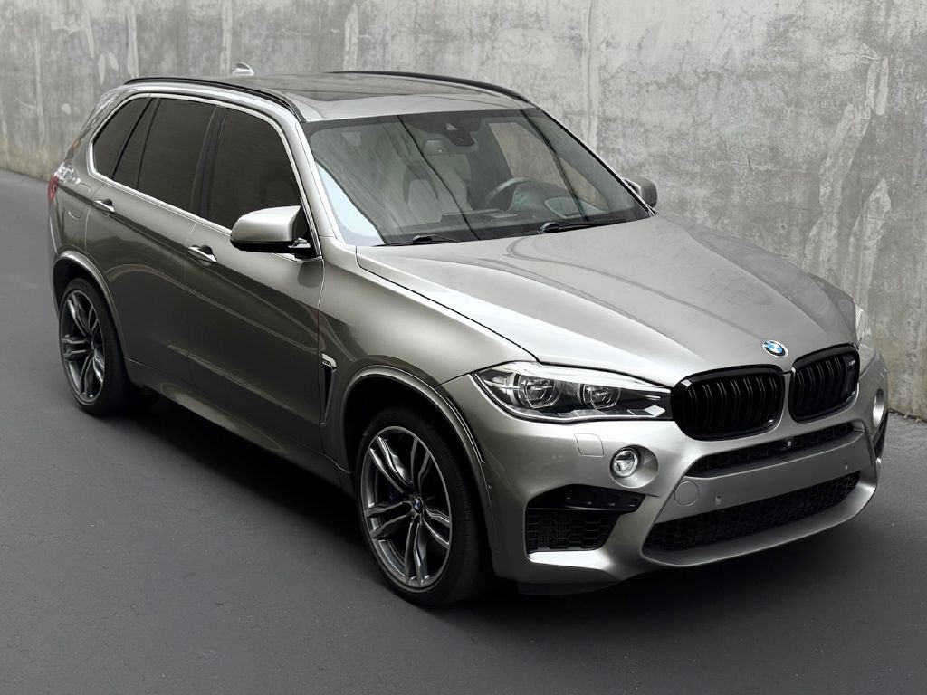 2015 BMW X5 Image 18