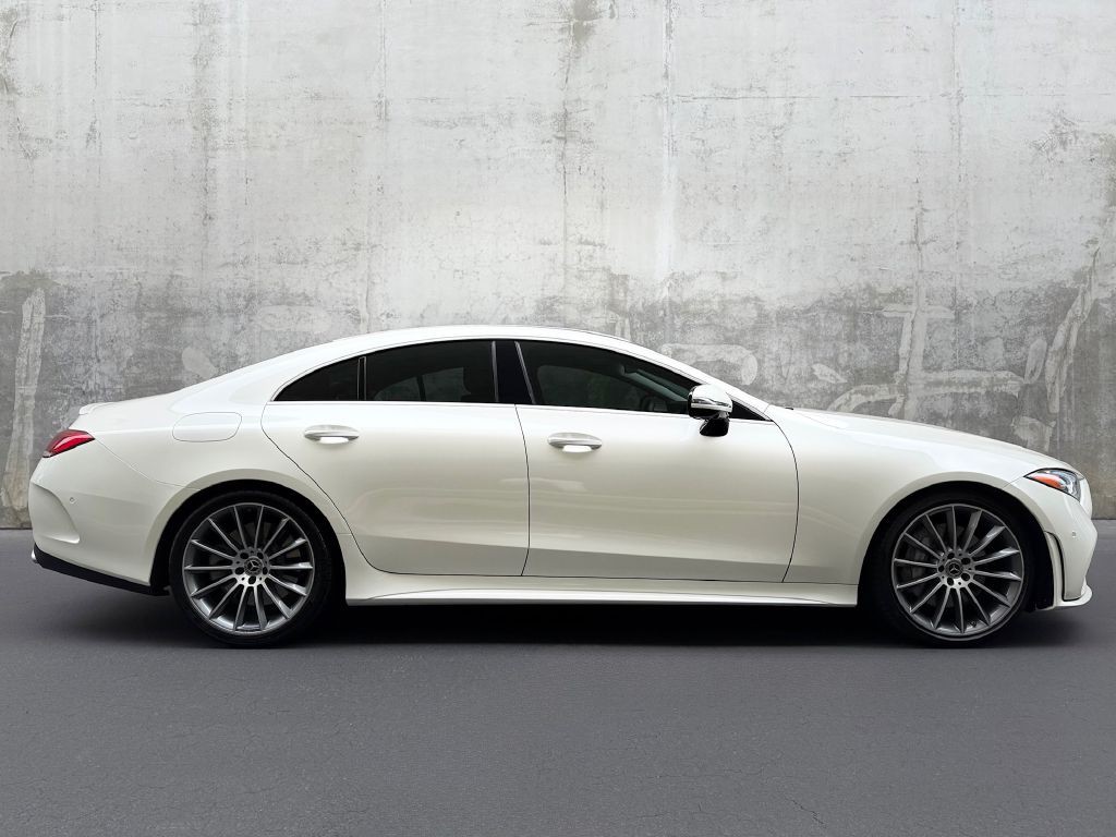 2019 Mercedes-Benz CLS-Class Image 19