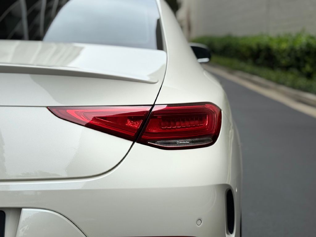 2019 Mercedes-Benz CLS-Class Image 22