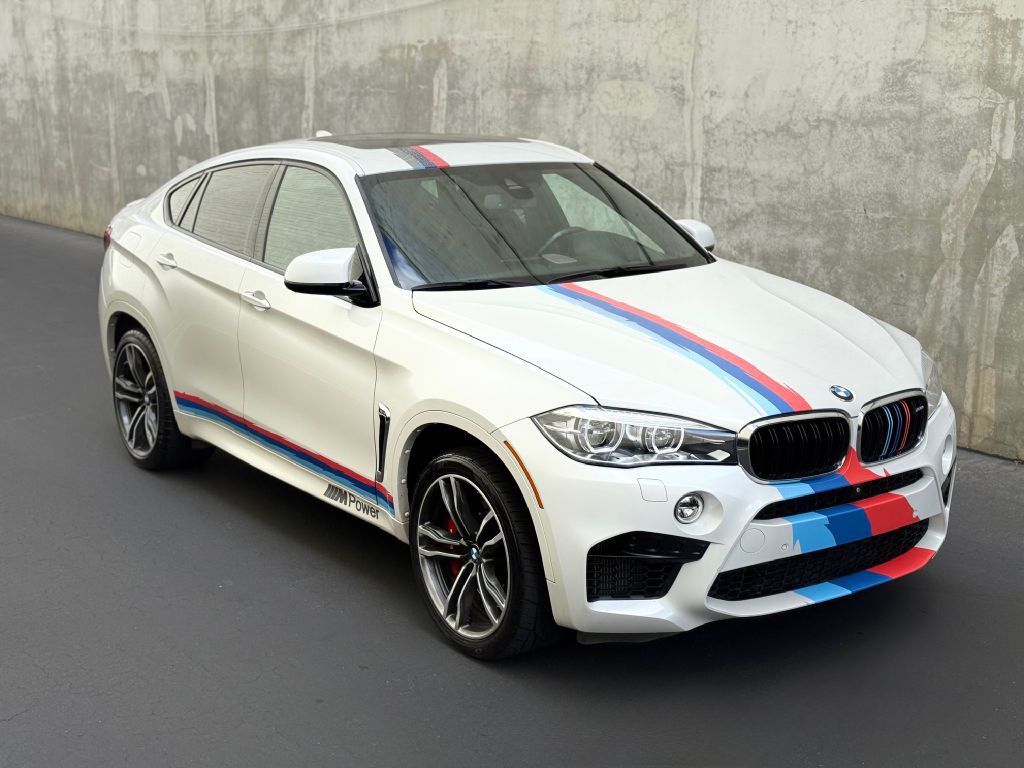 2017 BMW X6 Image 11
