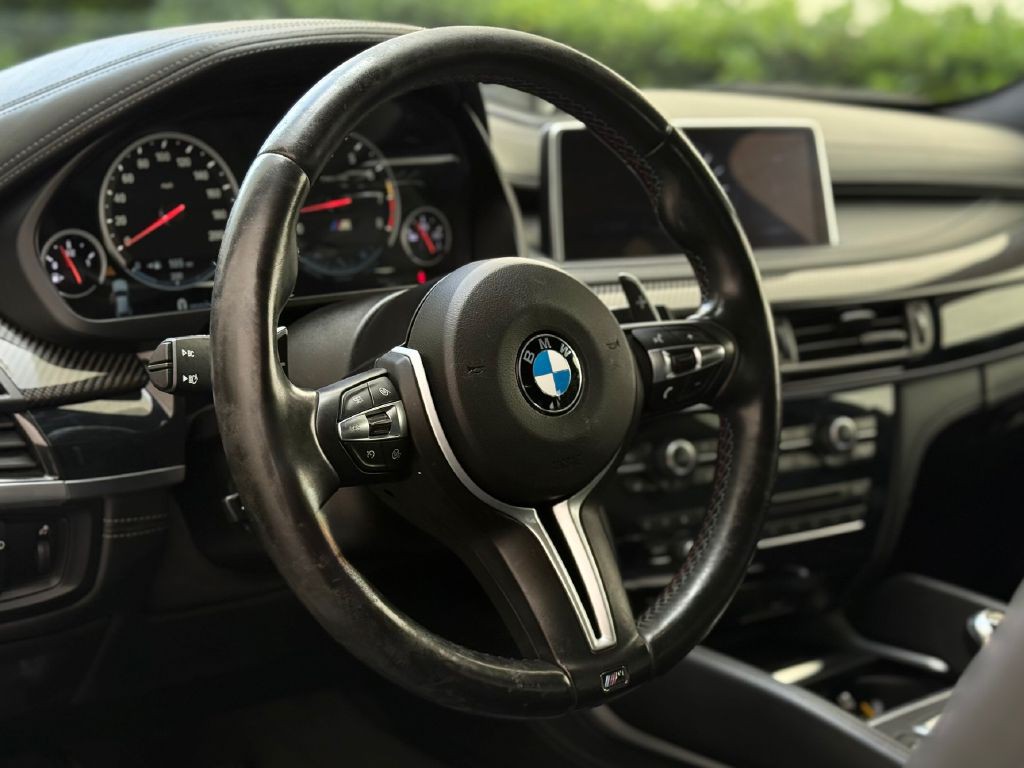 2017 BMW X6 Image 18