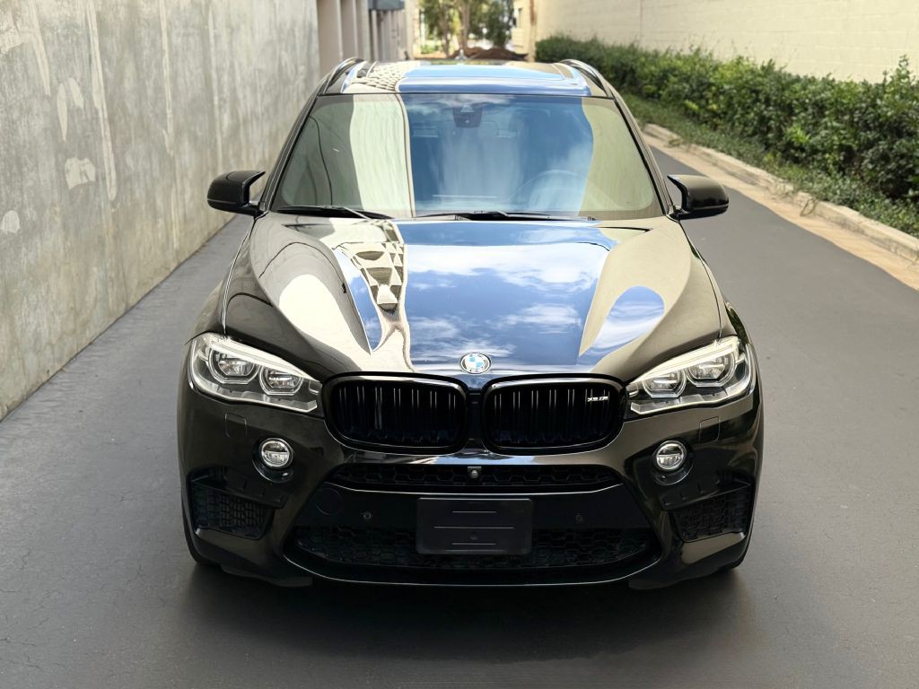 2018 BMW X5 Image 4