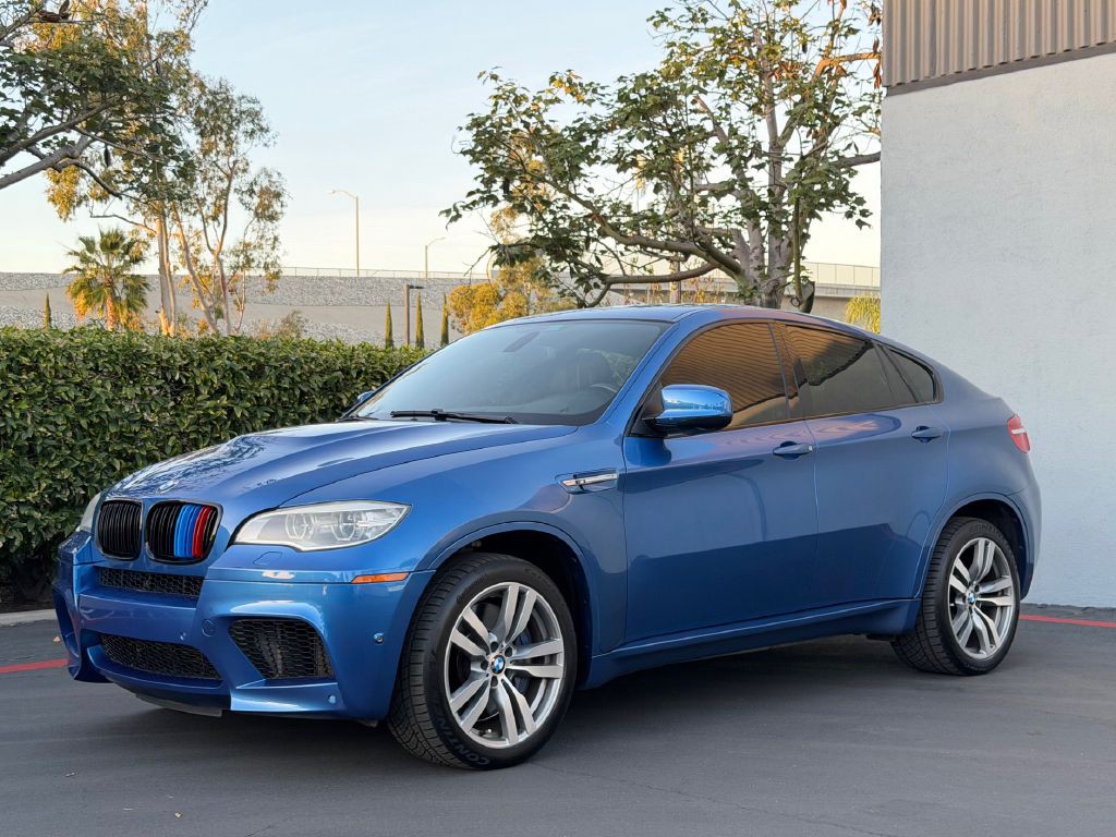 2013 BMW X6 Image 9