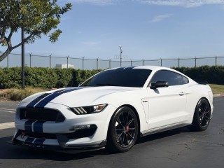 Image for 2017 Ford Mustang SHELBY GT350 ID: 7588670