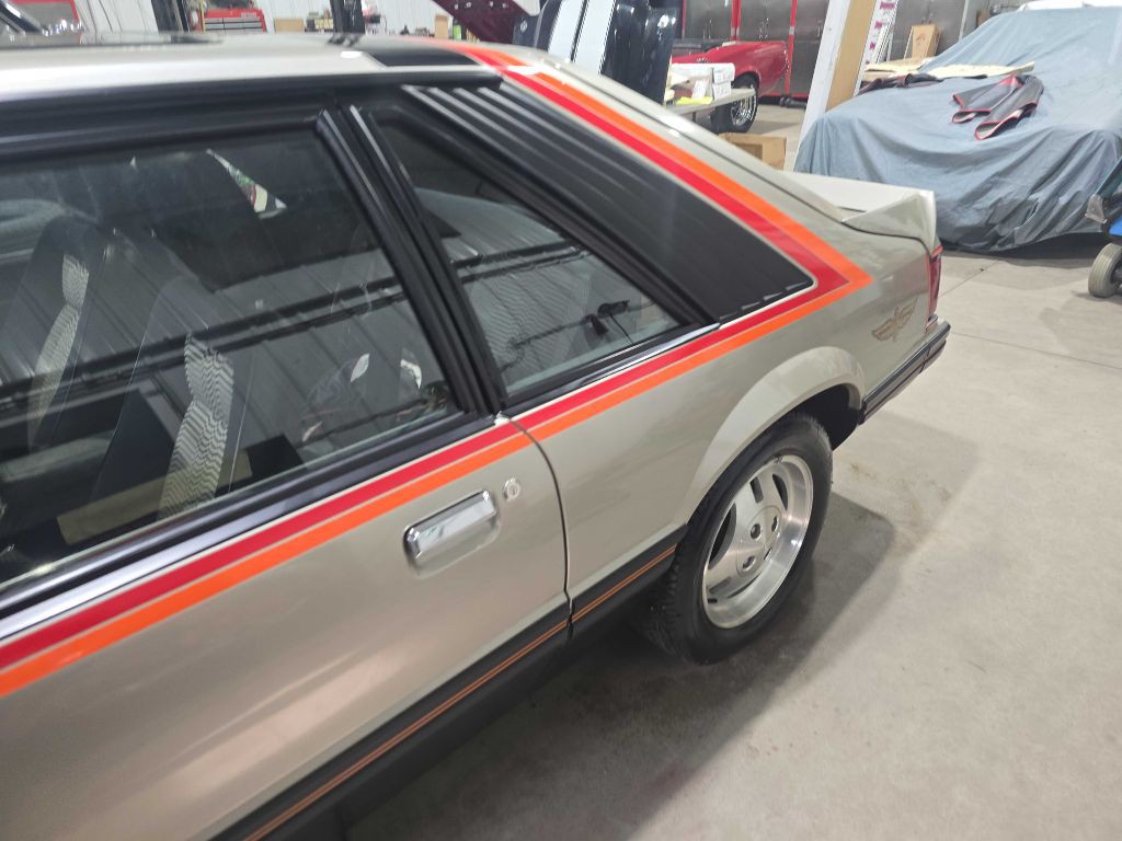 1979 Ford Mustang Image 6