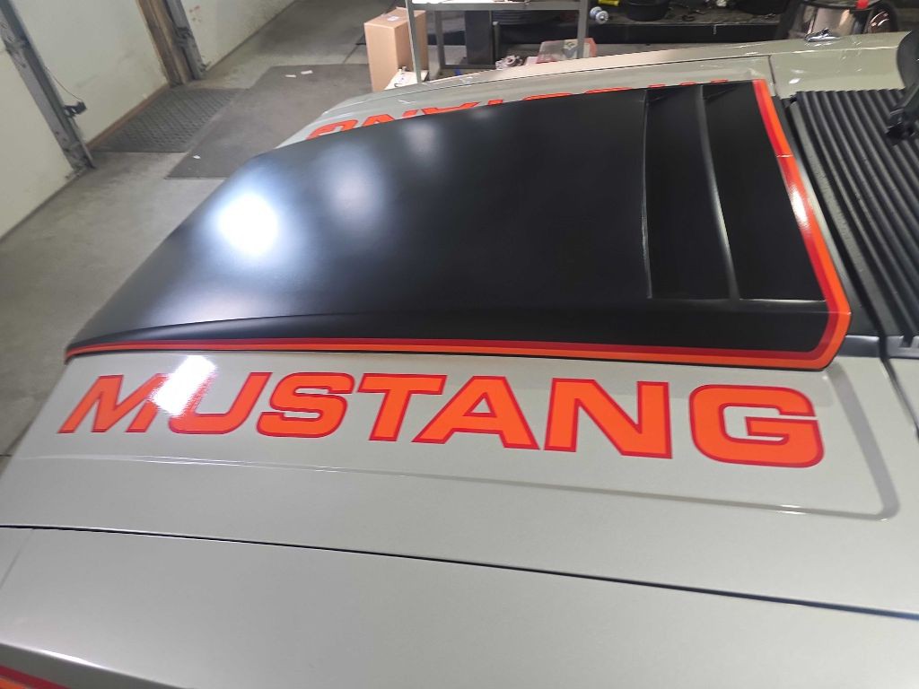 1979 Ford Mustang Image 12