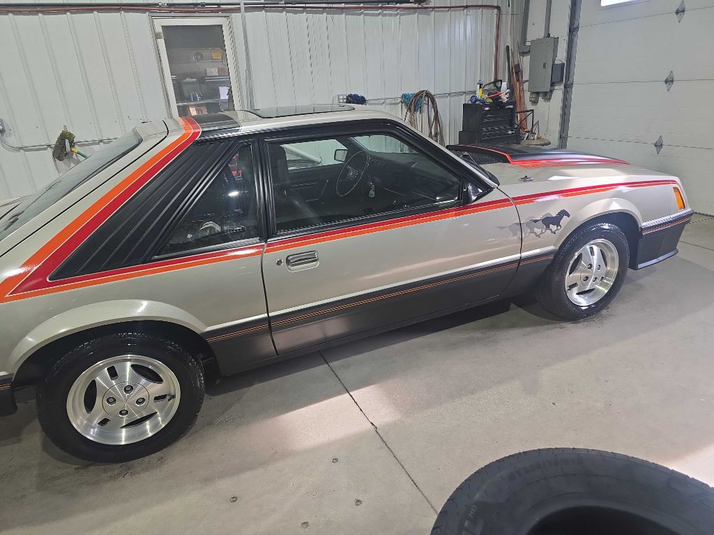 1979 Ford Mustang Image 16