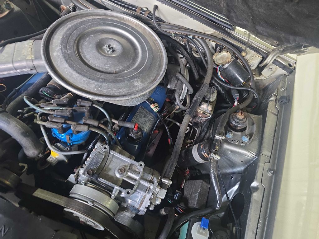 1979 Ford Mustang Image 39