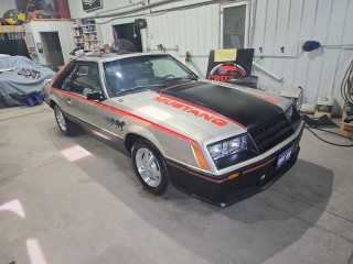 Image for 1979 Ford Mustang Pace Car ID: 6674378