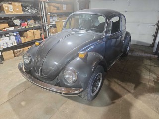 Image for 1970 Volkswagen Beetle  ID: 6753177