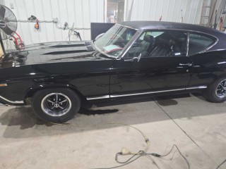 Image for 1969 Chevrolet Chevelle sport ID: 7076006