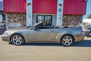 Image for 2001 Ford Mustang Cobra Svt ID: 7108914