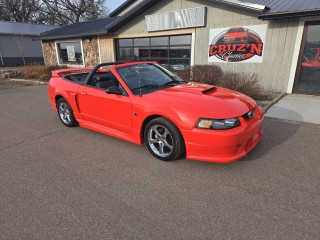 Image for 2004 Ford Mustang Rouch Gt ID: 7110866