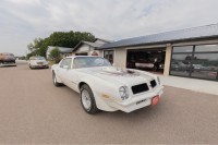 Image for 1976 Pontiac Firebird Trans Am sport ID: 7218696