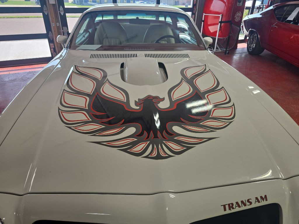 1976 Pontiac Firebird Image 2