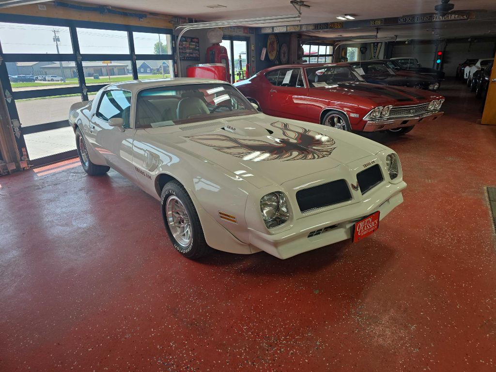 1976 Pontiac Firebird Image 4