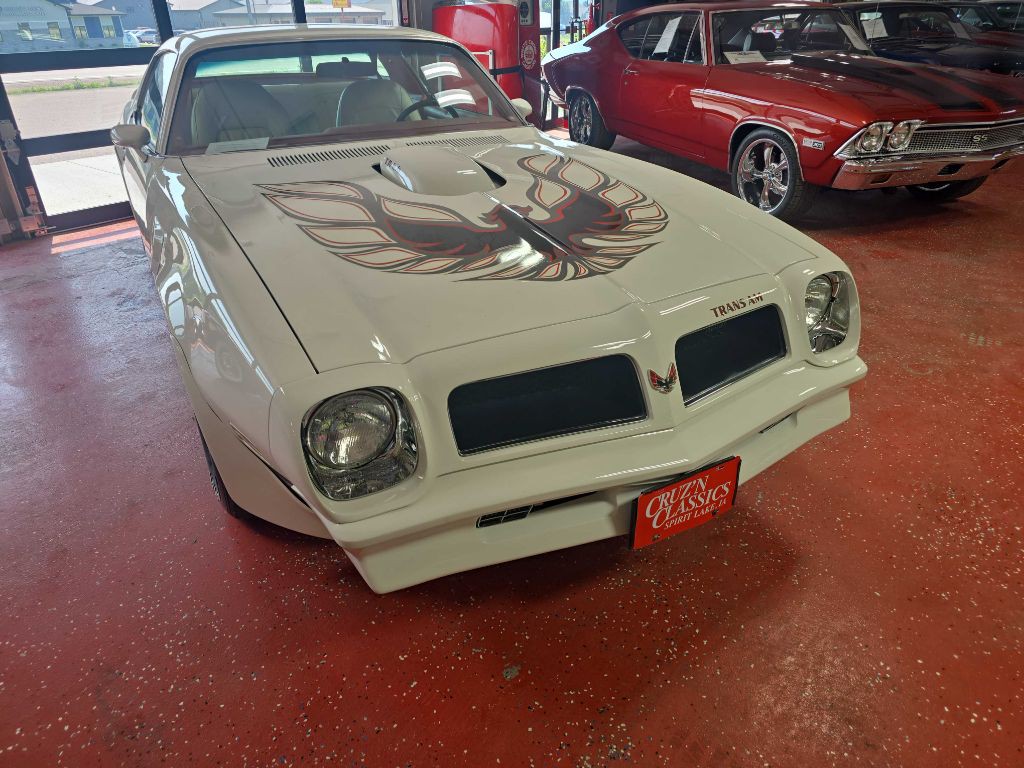 1976 Pontiac Firebird Image 7