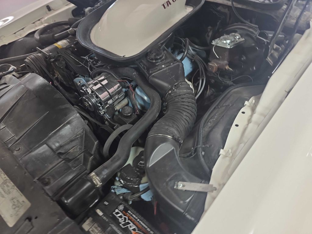 1976 Pontiac Firebird Image 55