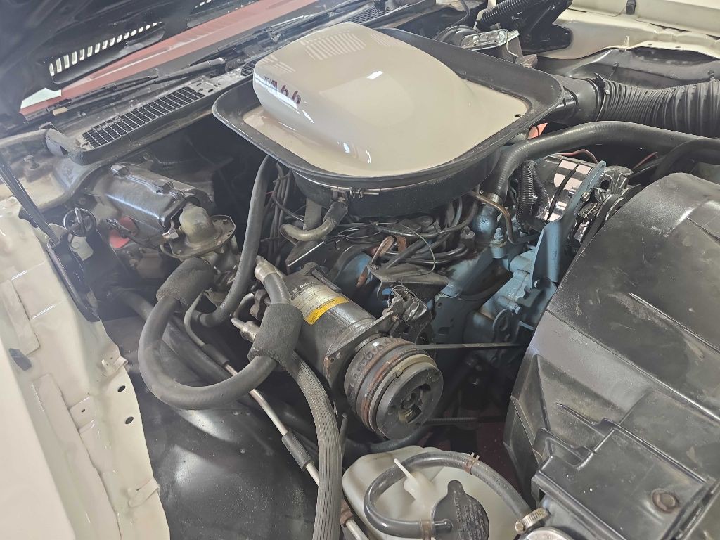 1976 Pontiac Firebird Image 57