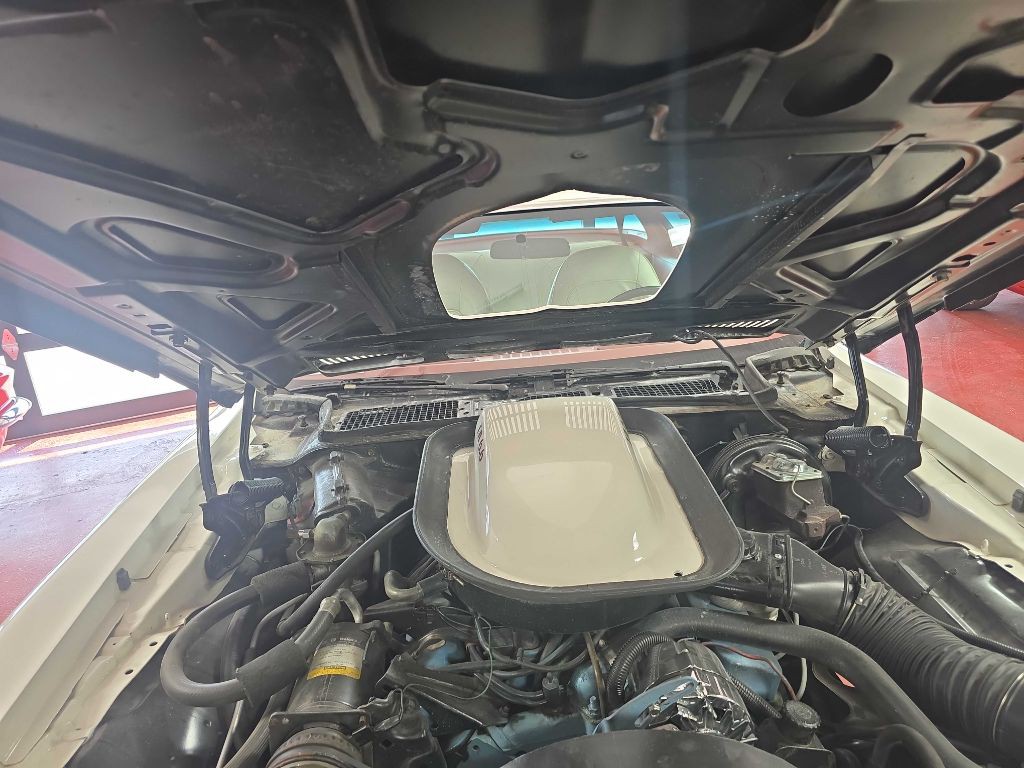 1976 Pontiac Firebird Image 58