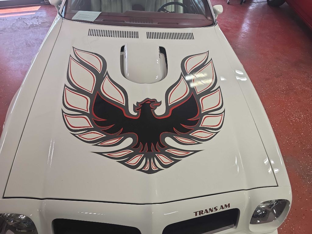 1976 Pontiac Firebird Image 62