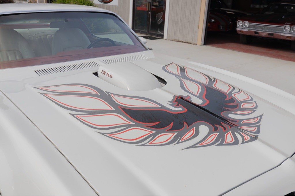 1976 Pontiac Firebird Image 105