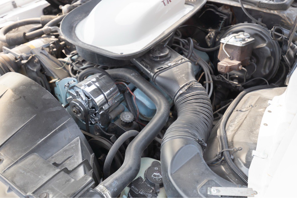 1976 Pontiac Firebird Image 110