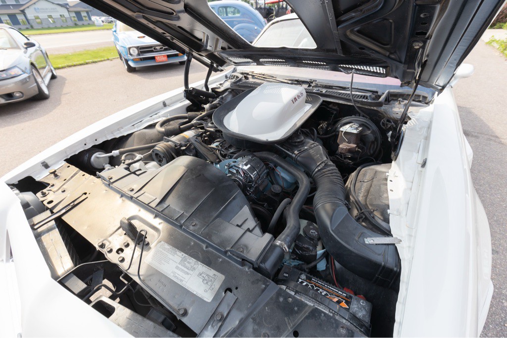 1976 Pontiac Firebird Image 111