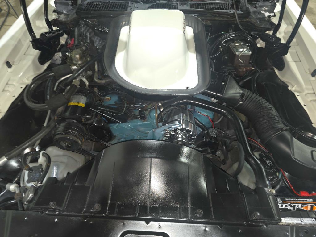 1976 Pontiac Firebird Image 113