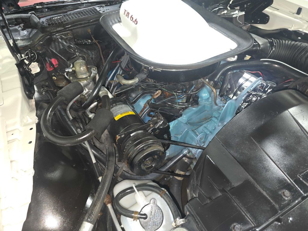 1976 Pontiac Firebird Image 114