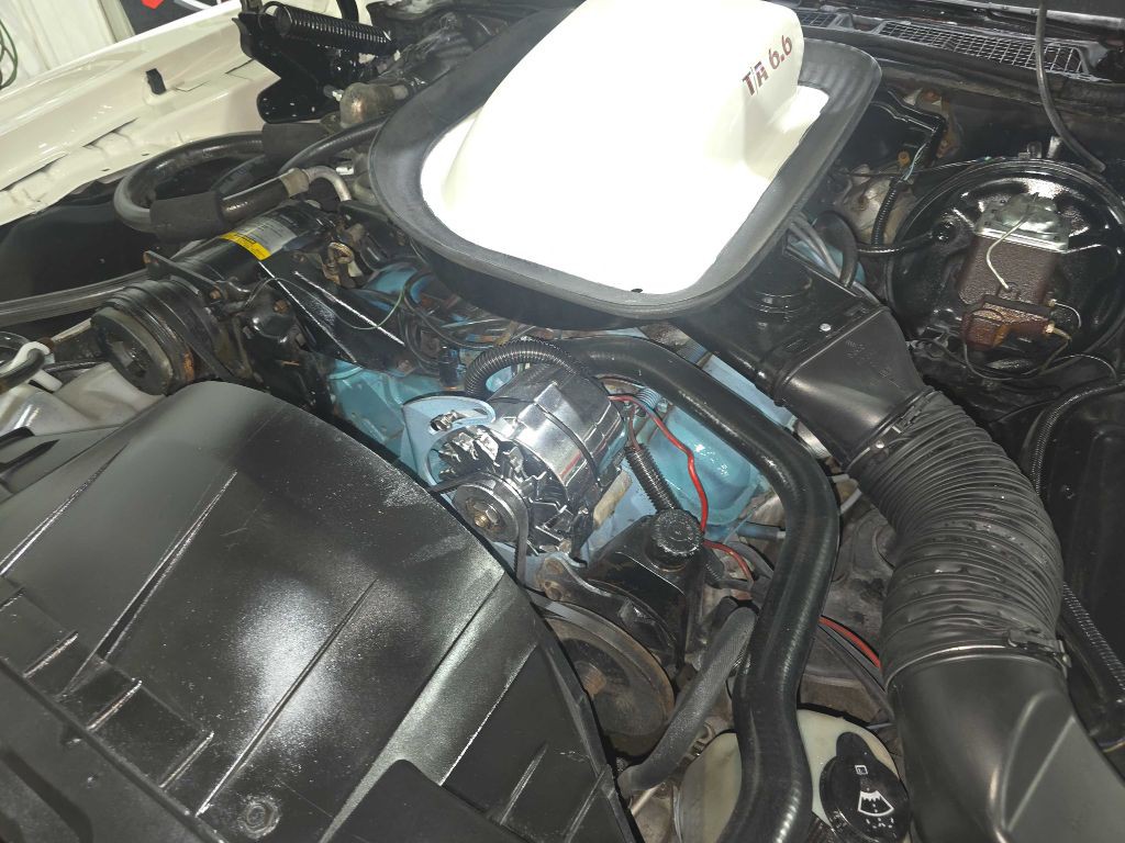 1976 Pontiac Firebird Image 115