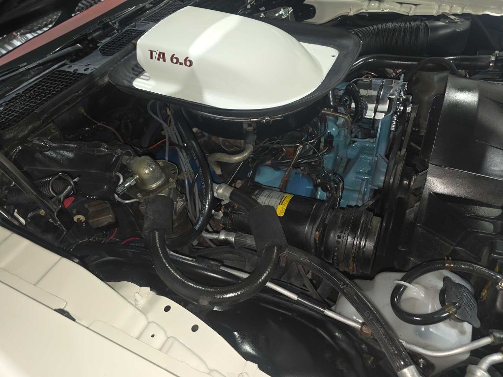 1976 Pontiac Firebird Image 116