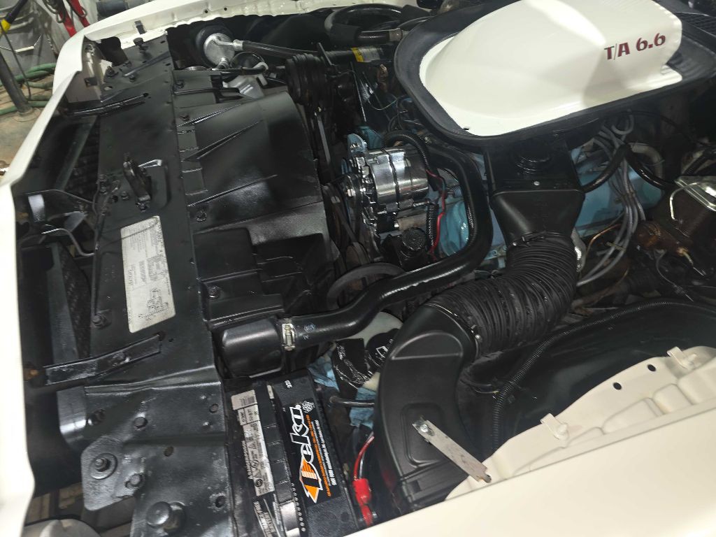 1976 Pontiac Firebird Image 117