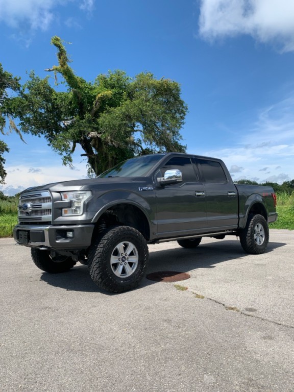2016 Ford F-150 Image 3