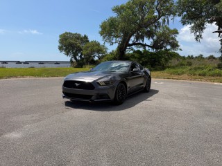 Image for 2017 Ford Mustang Ecoboost ID: 7353206