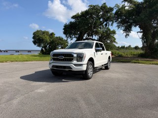 Image for 2021 Ford F-150 Platinum ID: 7457353