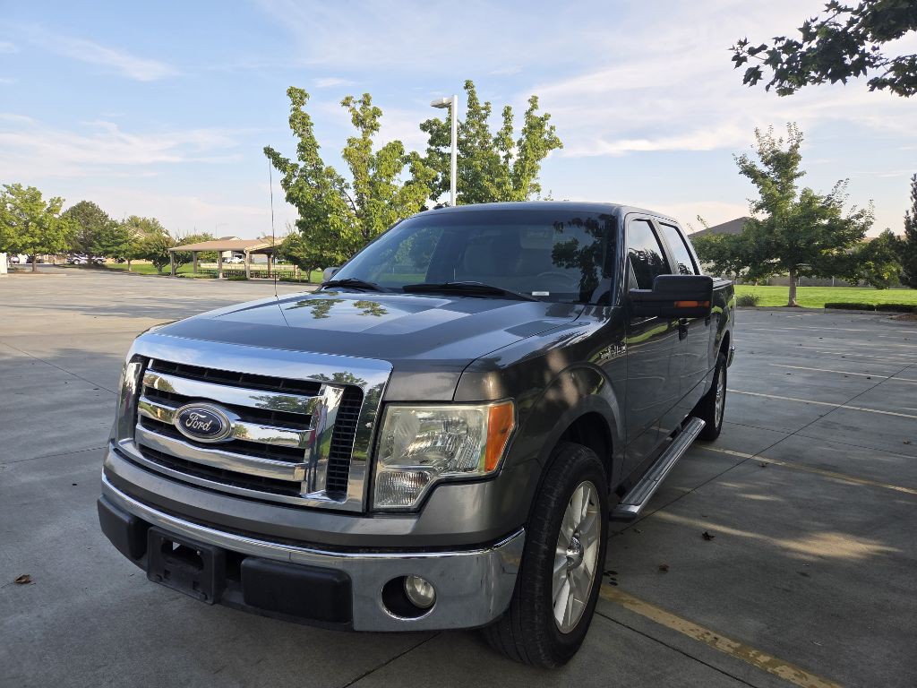 2010 Ford F-150 Image 1